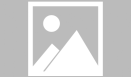 动物动漫画,漫绘奇遇记